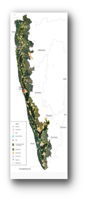 Reforestation Initiative